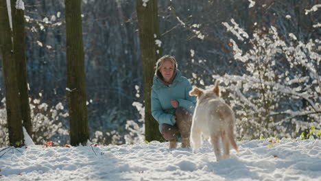 a golden retriever runs through the snow towards its owner. slow motion 4k video