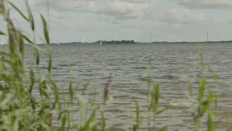 Eine-Zeitlupenaufnahme-Von-Schilf-In-Der-Nähe-Eines-Sees-Mit-Windmühlen-Im-Hintergrund