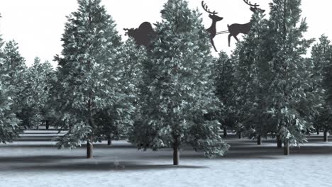 Animation-of-fir-trees-in-winter-scenery