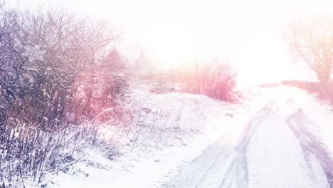 animation of snow falling and spot lights over winter landscape