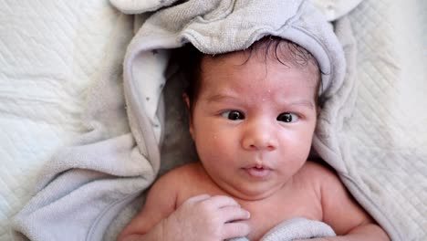 newborn baby girl.