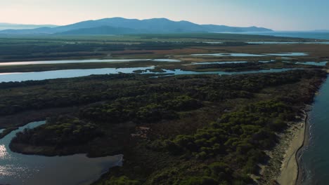 Cinematic-aerial-drone-footage-of-pine-tree-forest-and-savannah-in-the-iconic-Maremma-nature-park-in-Tuscany,-Italy,-with-an-evening-sky-at-sunset-mirroring-in-a-water-lagoon