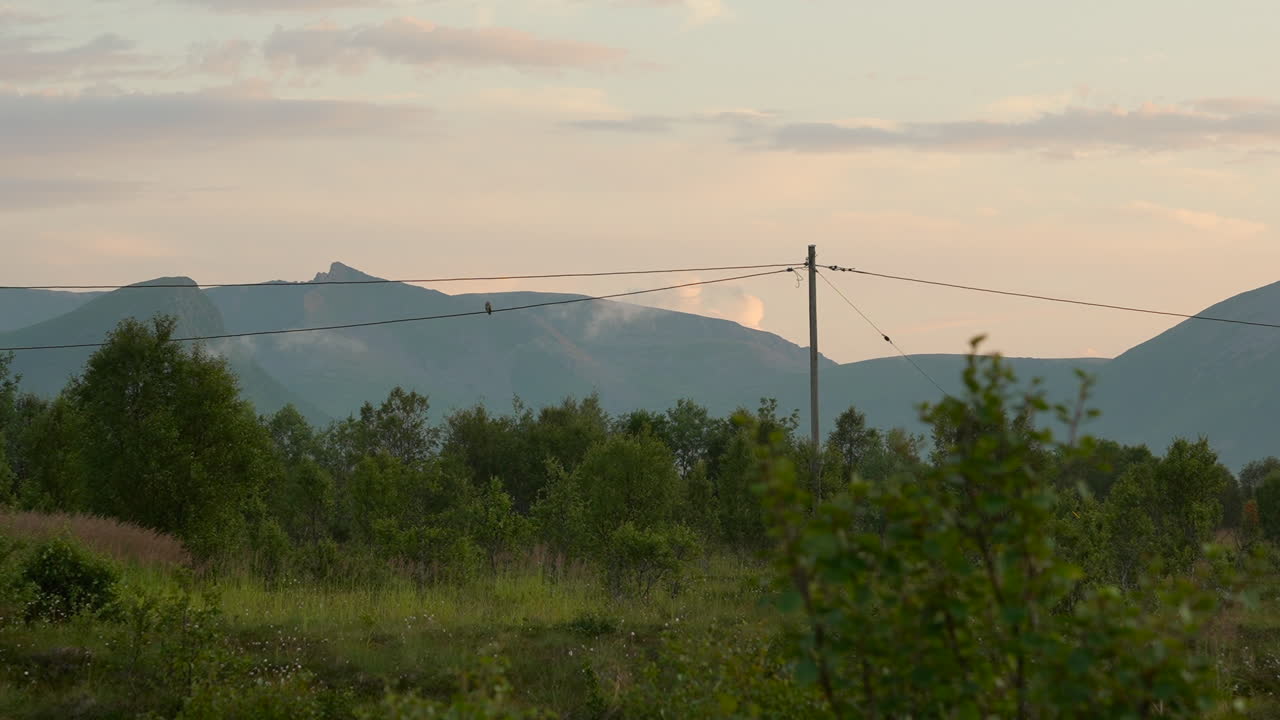 A wild owl perched on a wooden power line pole with a scenic rural landscape in the background. The owl appears small in the wide shot, showing the bird in its natural Scandinavian environment