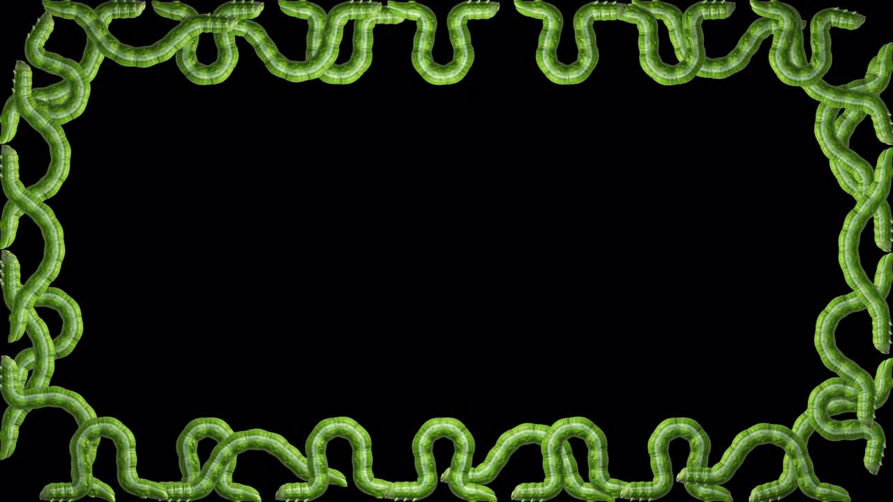 enjambre de orugas sobre un fondo transparente, bucle sin costuras