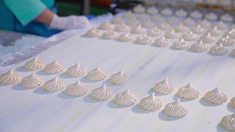 white creamy zephyr sweets move along the white conveyor line. two confectioner watch them on both sides of conveyor. blurred backdrop.