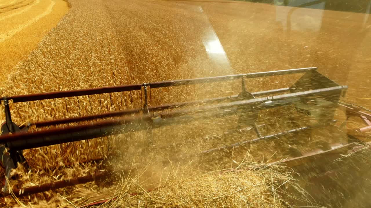 Combine Harvester in Wheat Field