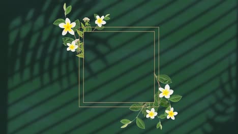 animation of frame with flowers over leaf shadow on green background