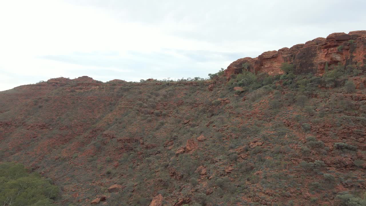exuberante paisaje cuesta abajo contra el cielo despejado - caminata por el borde del cañón de los reyes en el parque nacional watarrka en el territorio del norte, australia