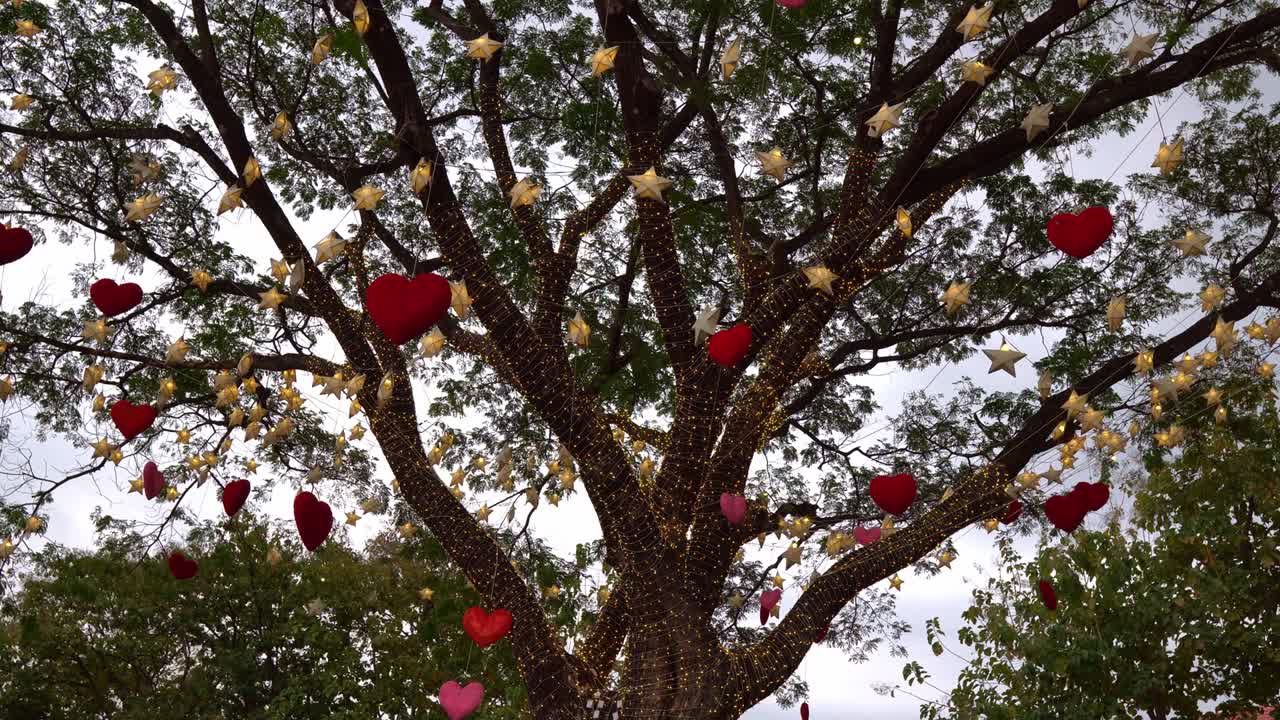 Red hearts hanging on a tree with many paper stars and lights twinkling at night. valentine's day concept