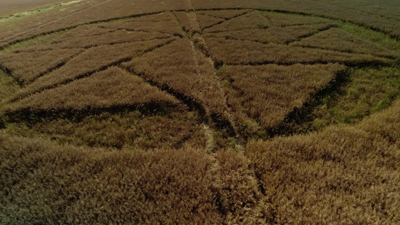 tierras de cultivo crop circle pradera vandalismo stanton st bernard vista aérea primer plano sobre surco vegetación