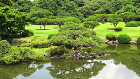 zoom uit het uitzicht op het meer met boomreflectie in de nationale tuin shinjuku gyoen