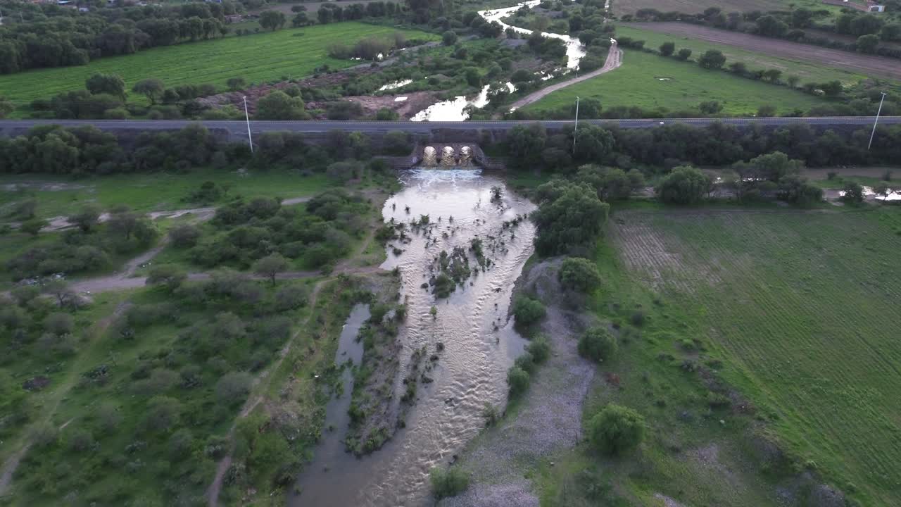 녹색 사막은 영혼을 인도합니다.
