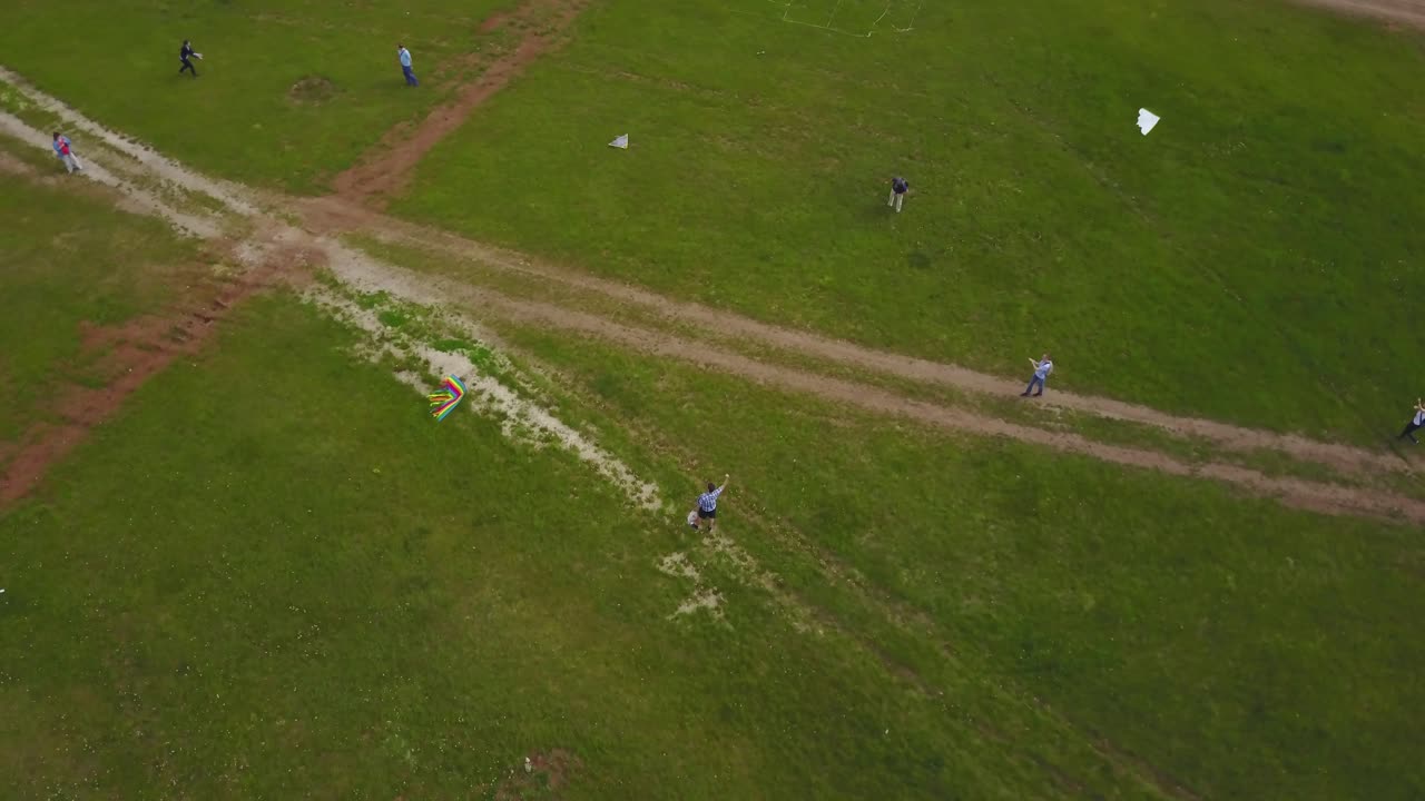 들판 에서 날아다니는 날개