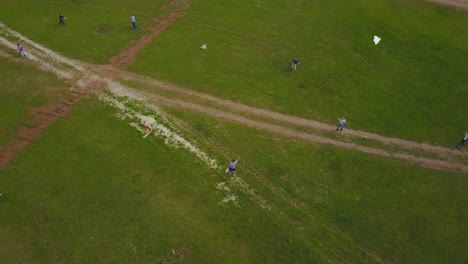 cometa volando en un campo