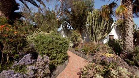 pathway leading through tropical garden with palm trees and flower, pov view