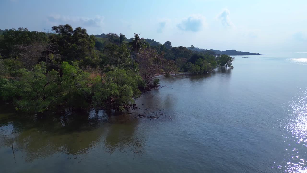 Lush vegetation covering tropical island coast meeting calm ocean water and small sandy beach. Amazing aerial view flight overflight flyover drone