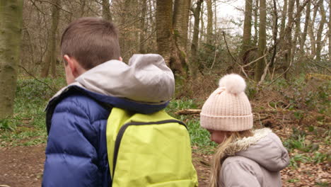 Young-brother-and-sister-walking-through-wood,-handheld,-shot-on-R3D