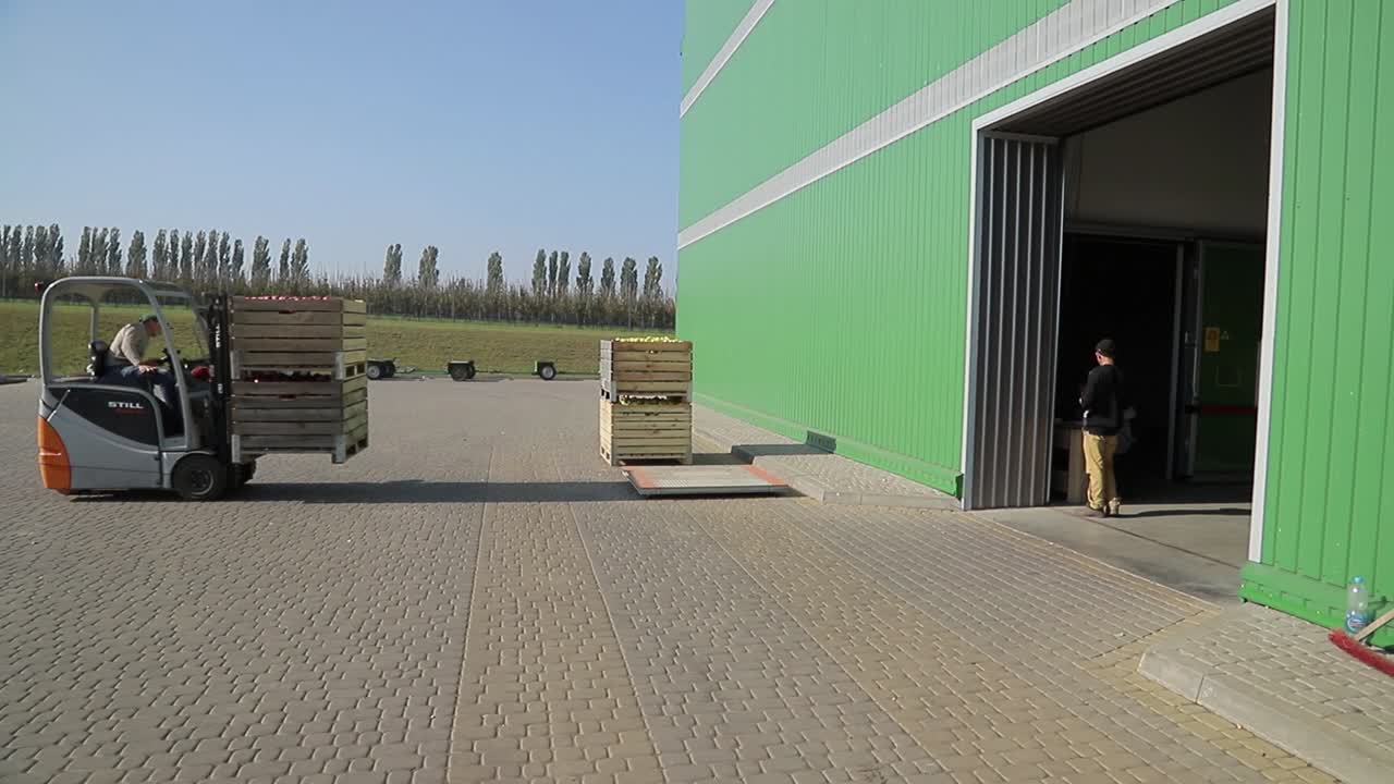A worker delivers the two wooden boxes with ripe apples to a pallet in the street near the entrance to the warehouse of the juice processing plant.