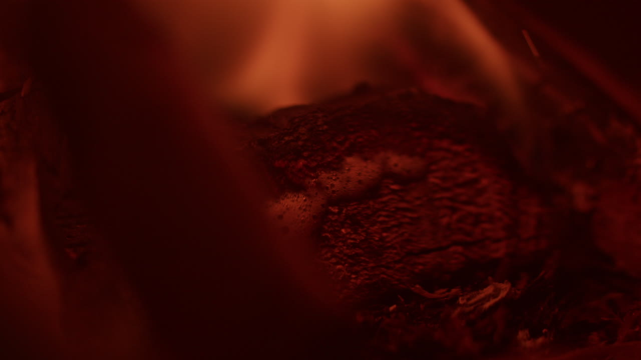 불타는 나무 조각의 매크로 슬로우 모션 샷