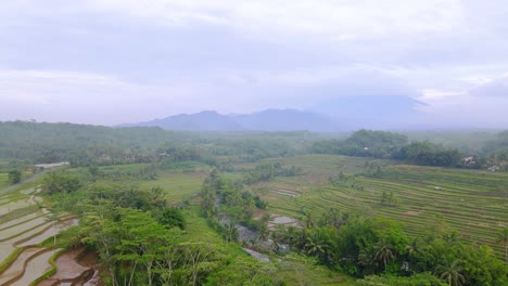 aerial pulling back view of rolling hills and terraced farmland rice fields, indonesia