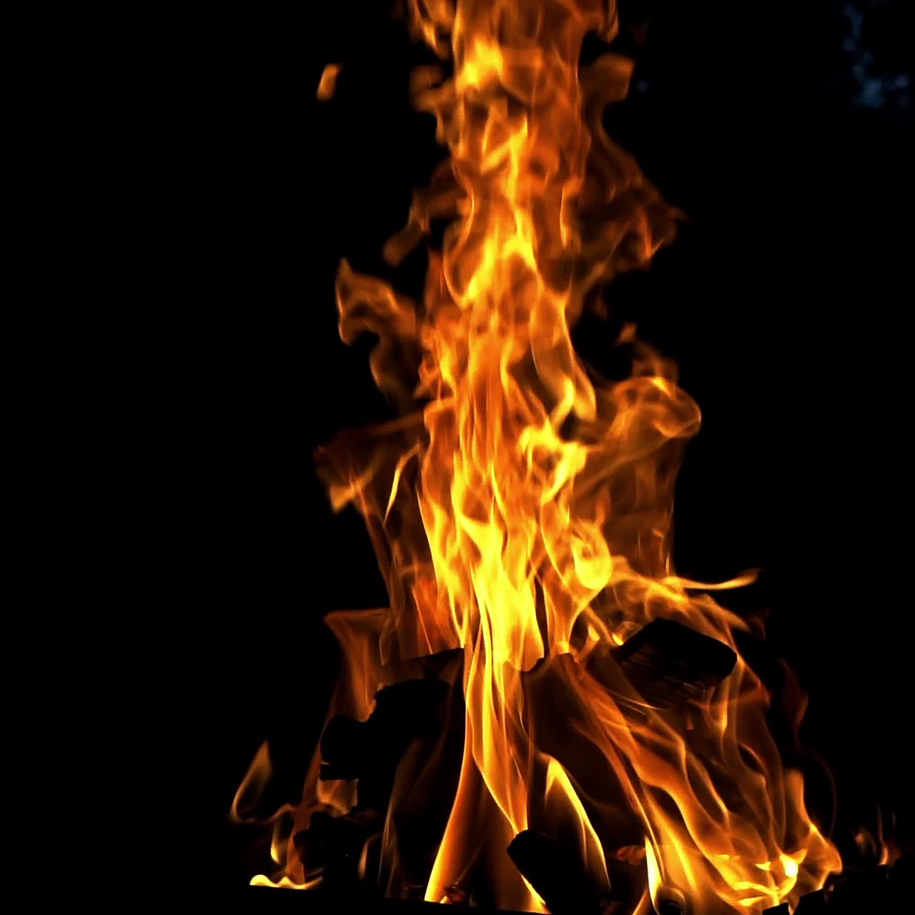 Bonfire. The fire is lit in the night. Slow motion