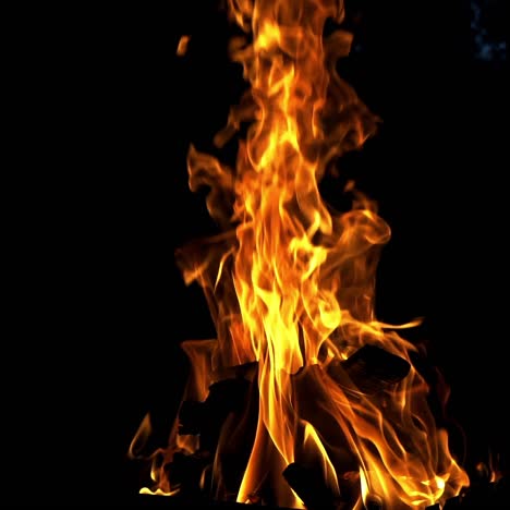 bonfire. the fire is lit in the night. slow motion