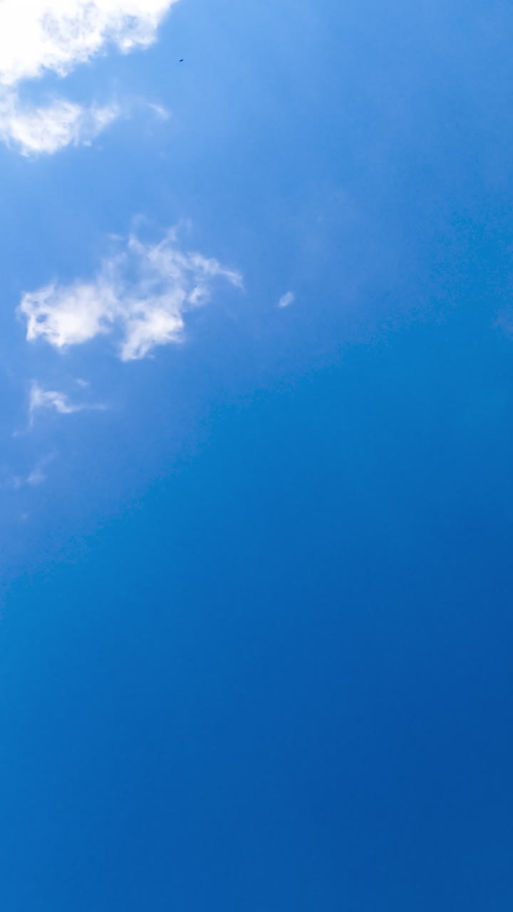 Light thin clouds disappearing in the deep azure sky. Amazing view of skies from below on sunny day. Timelapse. Vertical video