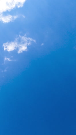 light thin clouds disappearing in the deep azure sky. amazing view of skies from below on sunny day. timelapse. vertical video