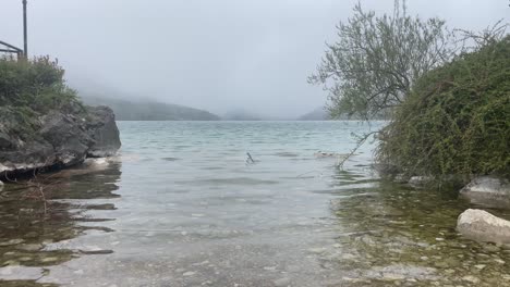 Tormenta,-Viento-Y-Copos-De-Nieve-En-Fuschelsee-En-Austria