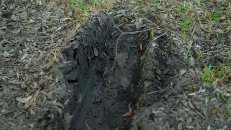 close-up view of a shallow trench filled with rainwater on a muddy, leaf-covered ground, with wet soil, decaying leaves, and small patches of green grass