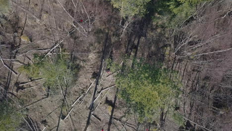 descending-top-down-aerial-view-of-working-man-with-chainsaw-cutting-down-trees-in-forest-4k