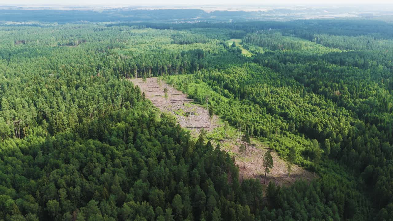 Deforestation in Lithuania, aerial drone view of cut down forest land on sunny day