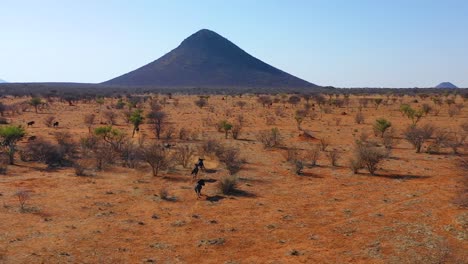 Ausgezeichnete-Drohnenantenne-Von-Schwarzen-Gnus,-Die-Auf-Den-Ebenen-Afrikas-Namib-Wüste-Namibia-Laufen-2