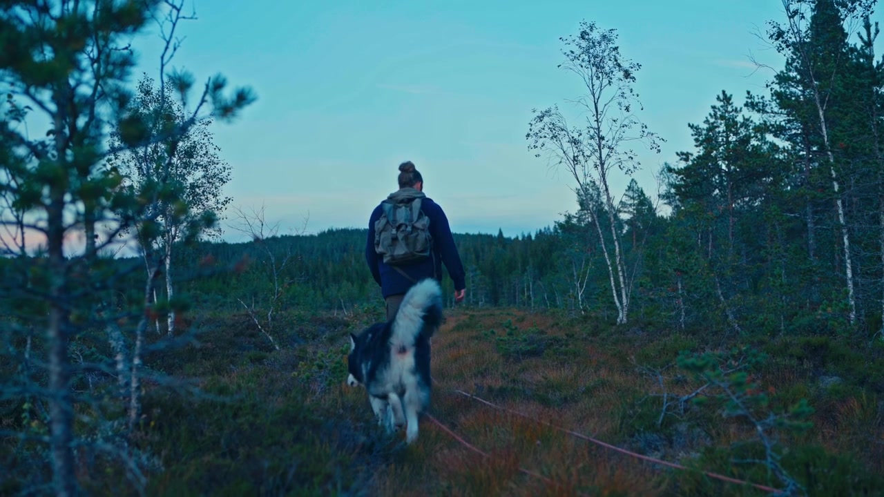 Mandlig vandrer går med sine hunde i landlige Norge – vidvinkelbillede.