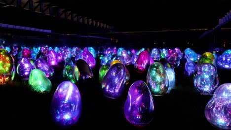 teamlab planets tokyo, a museum in toyosu, tokyo