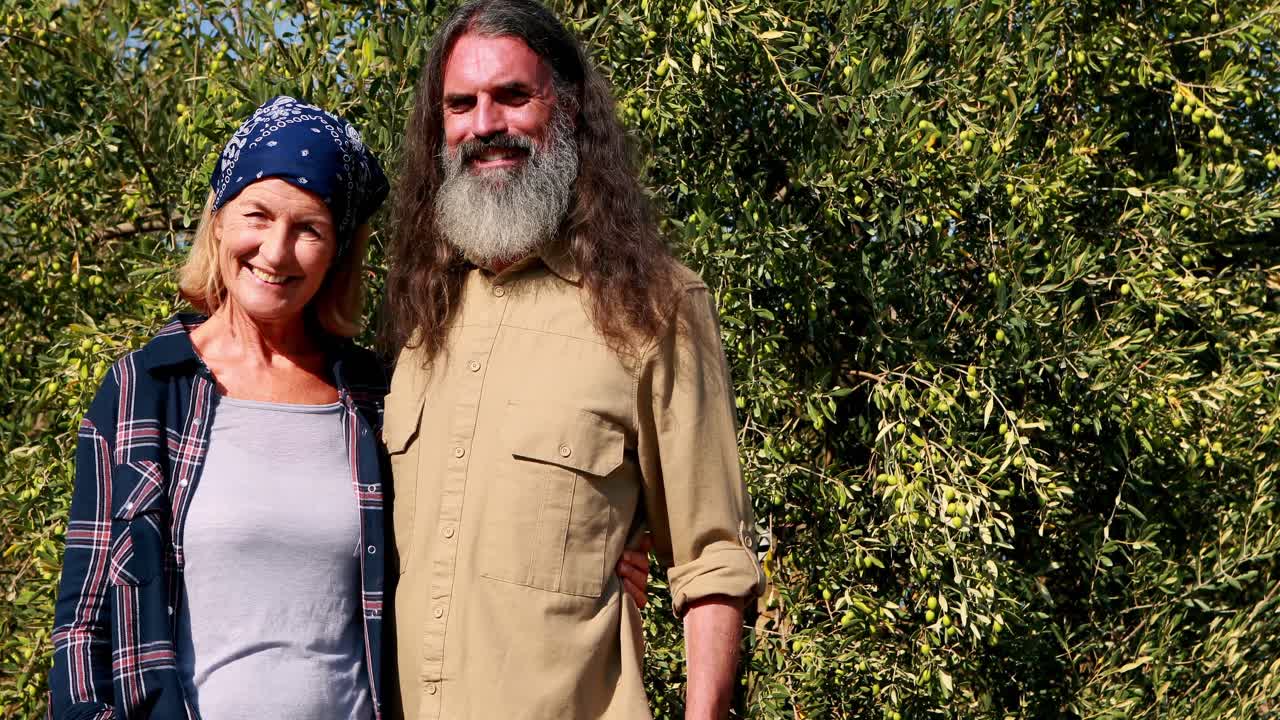 glückliches paar steht zusammen auf einer olivenfarm 4k