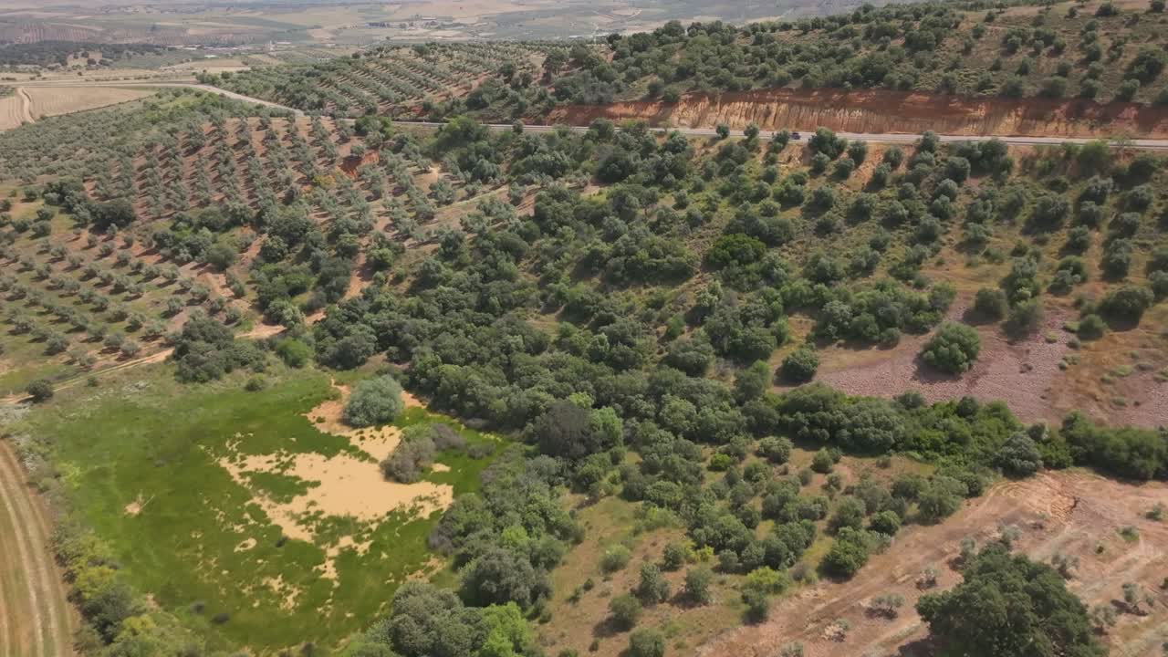 The drone's upward flight reveals mixed farmland: an olive grove with a farmhouse, a freshly plowed field near a small water feature, a tree-lined embankment, and a road junction