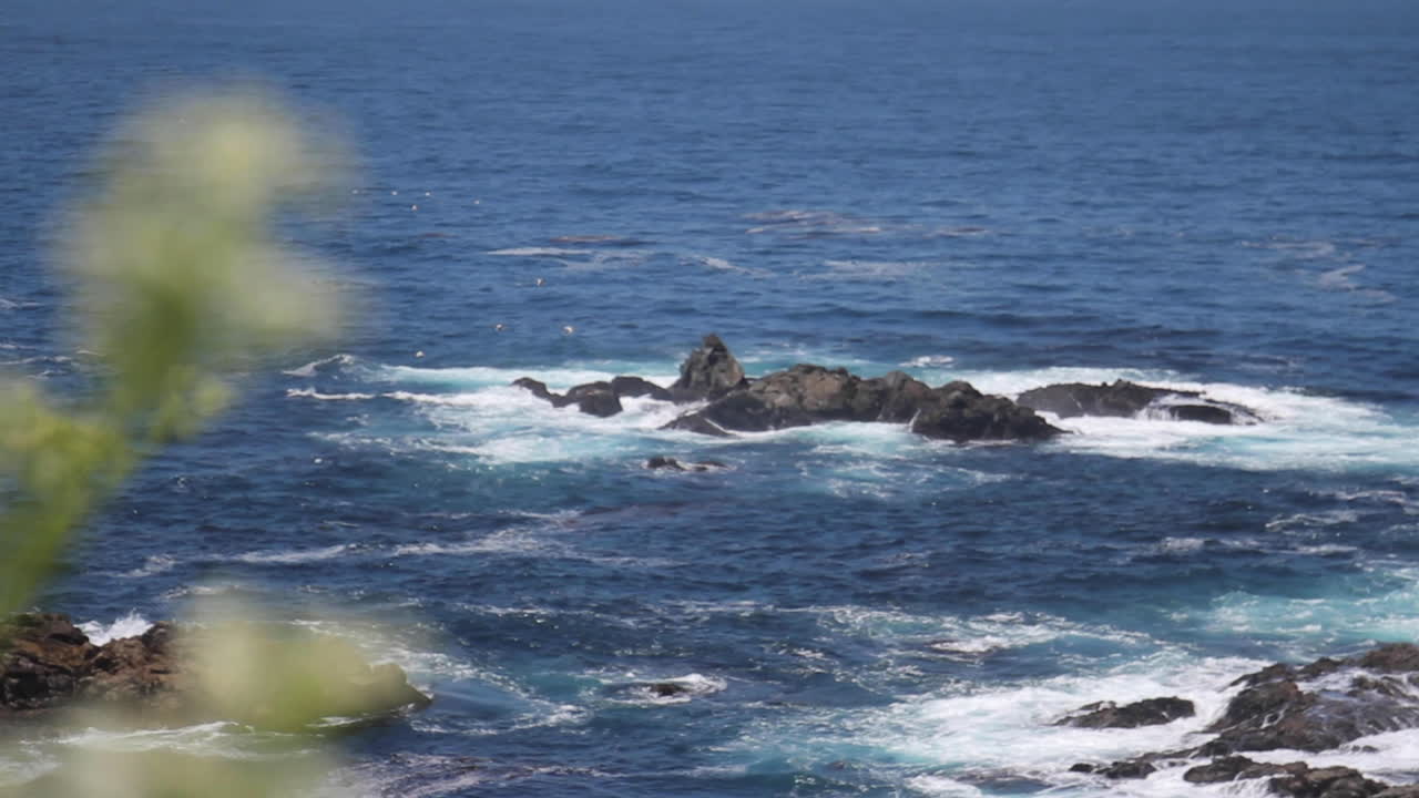 Rocky Coastline Scene