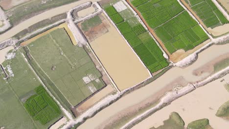 aerial view of farmland crop field with overflown small rivers