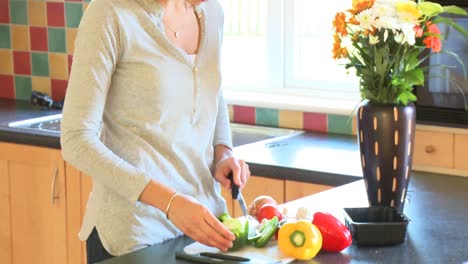 Portrait-of-a-woman-preparing-a-healthy-salad