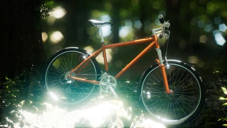 mountain bike on the forest path