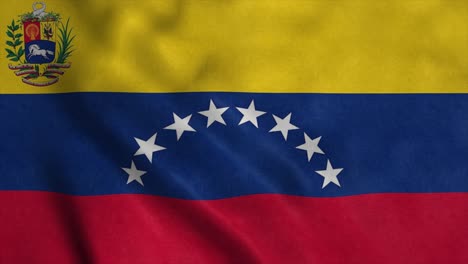 waving flag. national flag of venezuela. realistic 3d animation