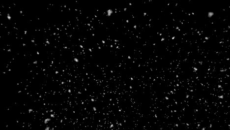 animación de nieve cayendo sobre fondo negro, bucle sin costuras