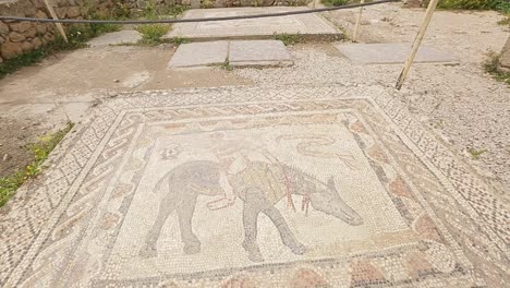 an ancient engravings of the greeks in the old city of volubilis in morocco