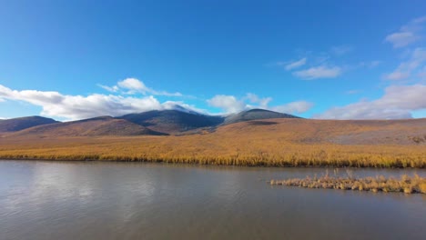 autumn landscape: golden larch forest and river