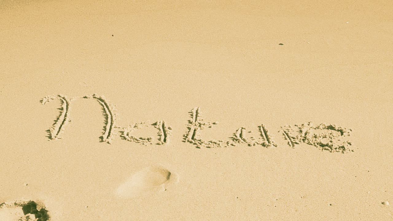 Inscription the nature on sand. Are washed away by a wave