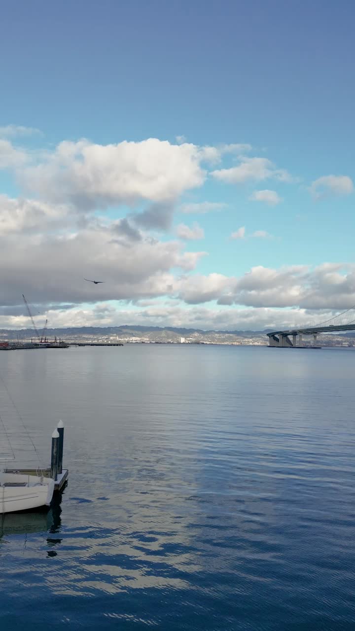 Aerial push-in drone shot of Treasure Isle Marina on Yerba Buena Island, offering a detailed view of boats and the waterfront.