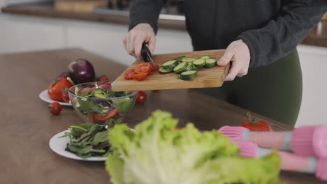 preparing a vegan recipe, cutting tomatoes and vegetables at home