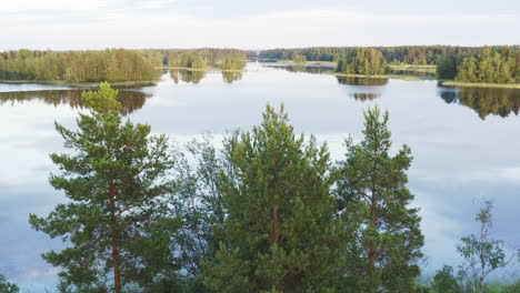 Drone-shot-of-revealing-calm-lake-behind-a-treeline-by-sunset