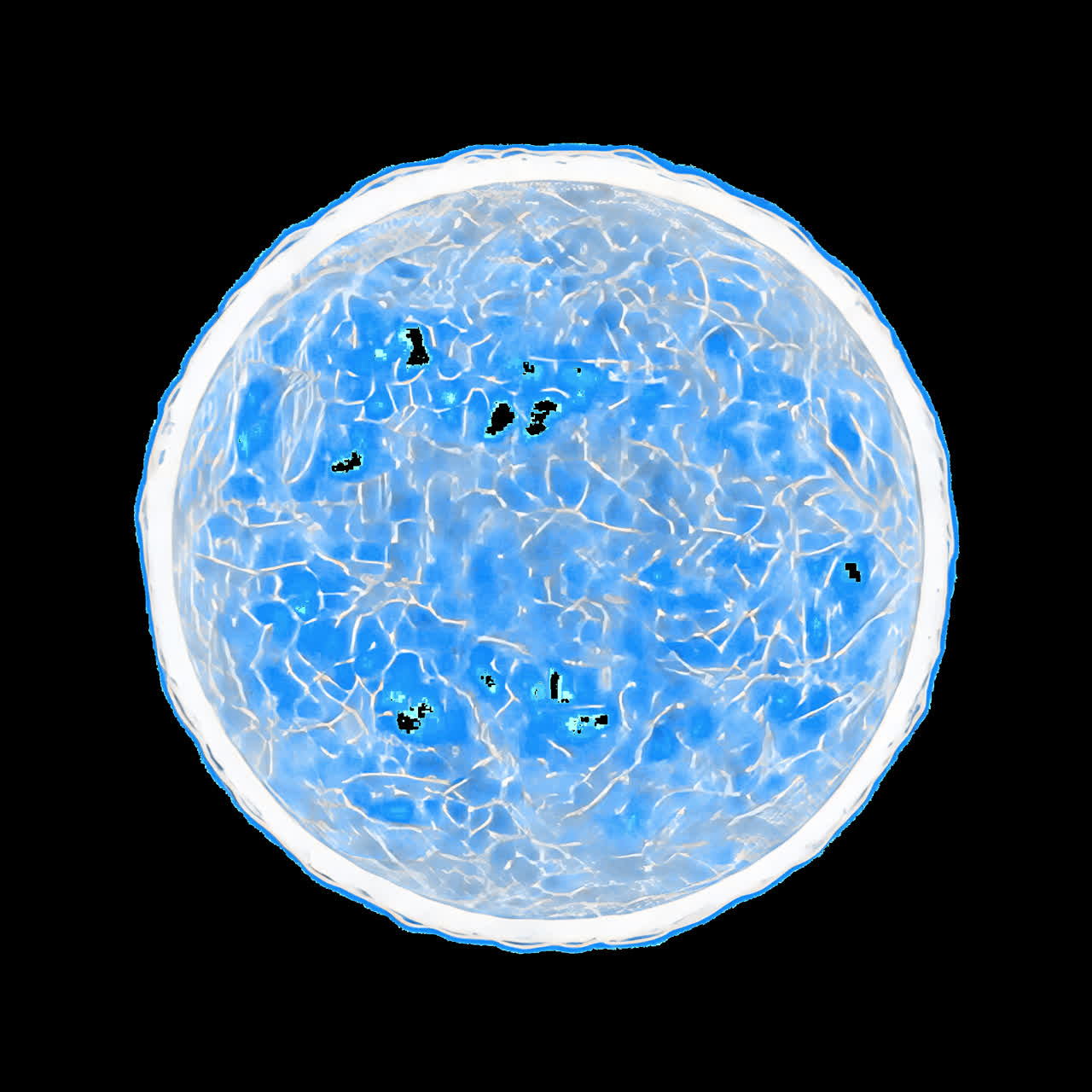 Abstract sphere with water texture animation isolated asset, transparent 4K video, alpha channel